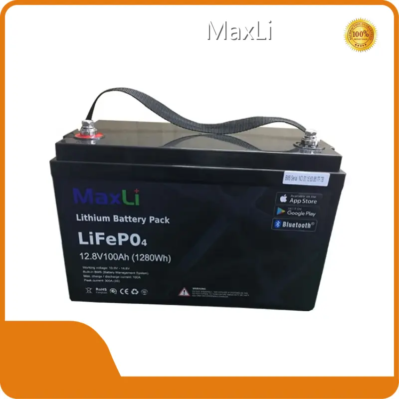 Lithium Battery 329x172x223mm by MaxLi 1