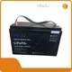 Lithium Battery 329x172x223mm by MaxLi 1