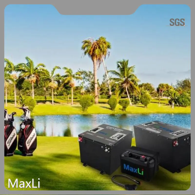 Lithium Batteries - - MaxLi 1