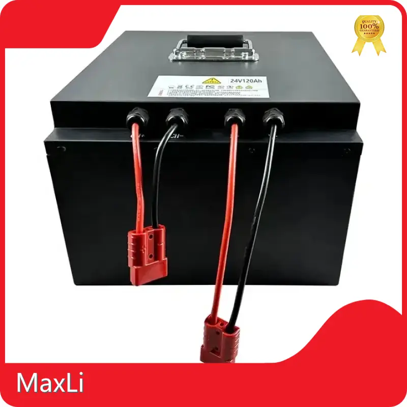 Lithium Polymer Battery Pack Acceptable - - MaxLi 1