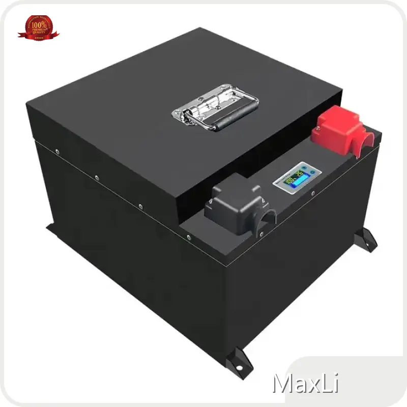 48 Volt Lifepo4 Battery Pack Rohs - - MaxLi 1