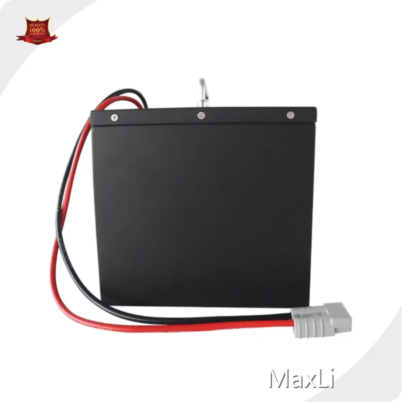 Lithium Ion Battery Manufacturers ≤60mΩ by MaxLi 1