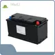 Lithium Ion Phosphate Battery Pack 20A - - MaxLi 1