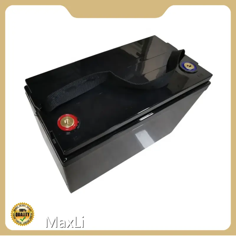 Lithium Batteries Built-in by MaxLi 1