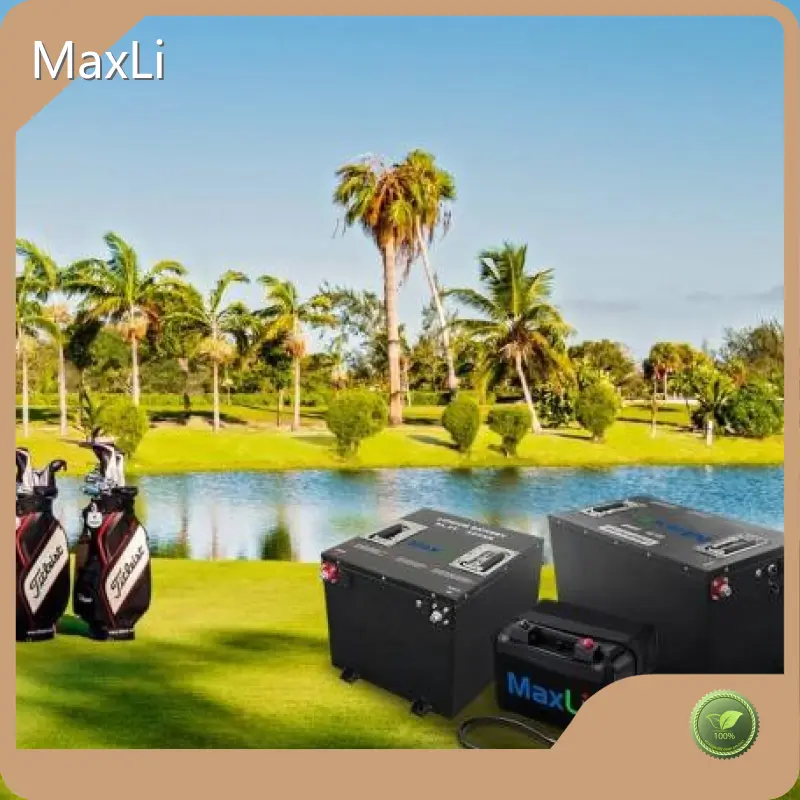Lithium Ion Battery Producers by MaxLi 1