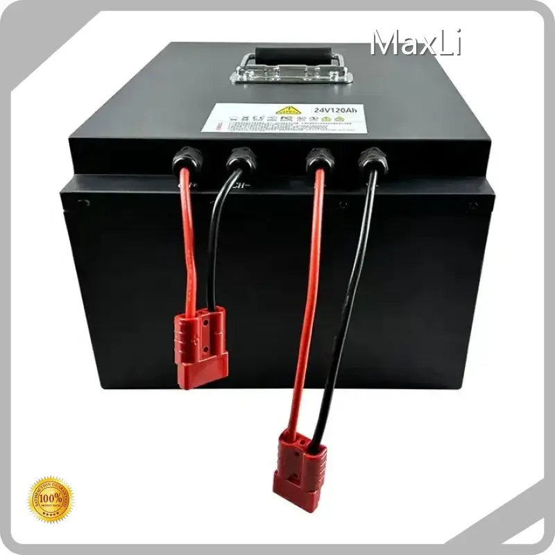 Custom Lithium Ion Battery Pack Built-in - - MaxLi 1