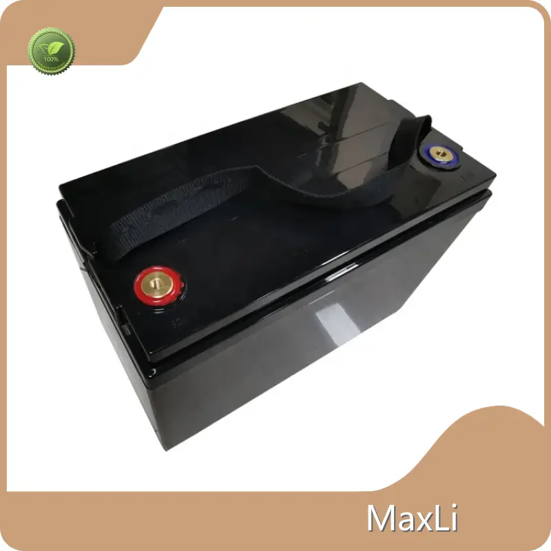 Lithium Ion Cell Pack Maxli by MaxLi 1