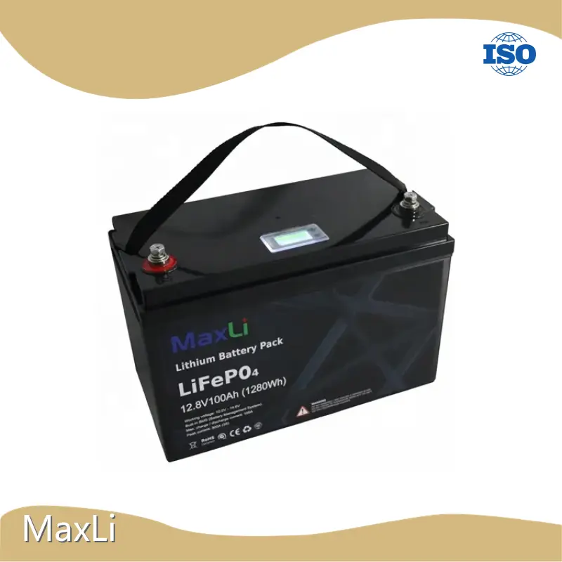 Lithium Polymer Battery Pack 1C by MaxLi 1