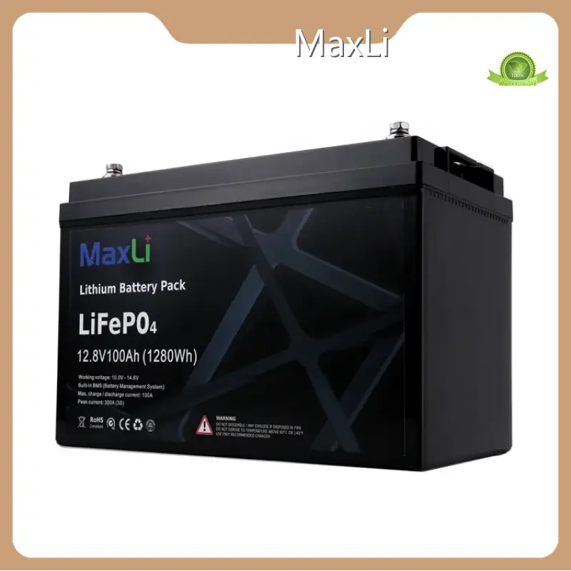 Lithium Ion Battery Makers LFP - - MaxLi 1