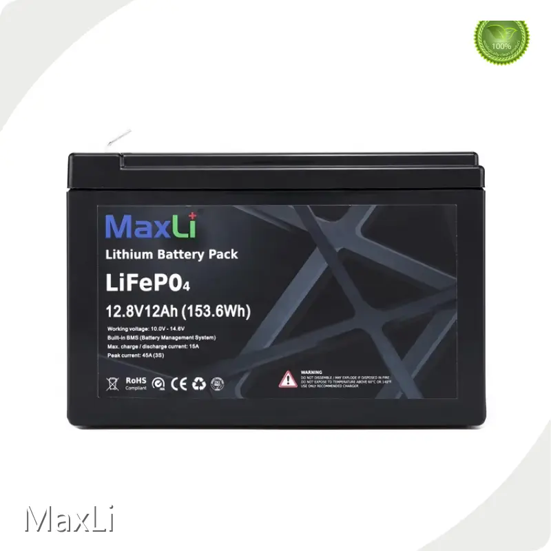 Lithium Ion Phosphate Battery Pack Power Tools by MaxLi 1