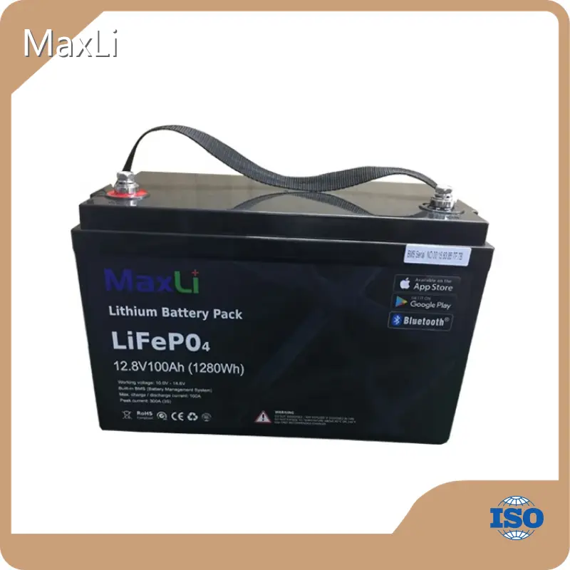 Lifepo4 Battery YS12-100-BT-C - - MaxLi 1