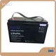 Lifepo4 Battery YS12-100-BT-C - - MaxLi 1