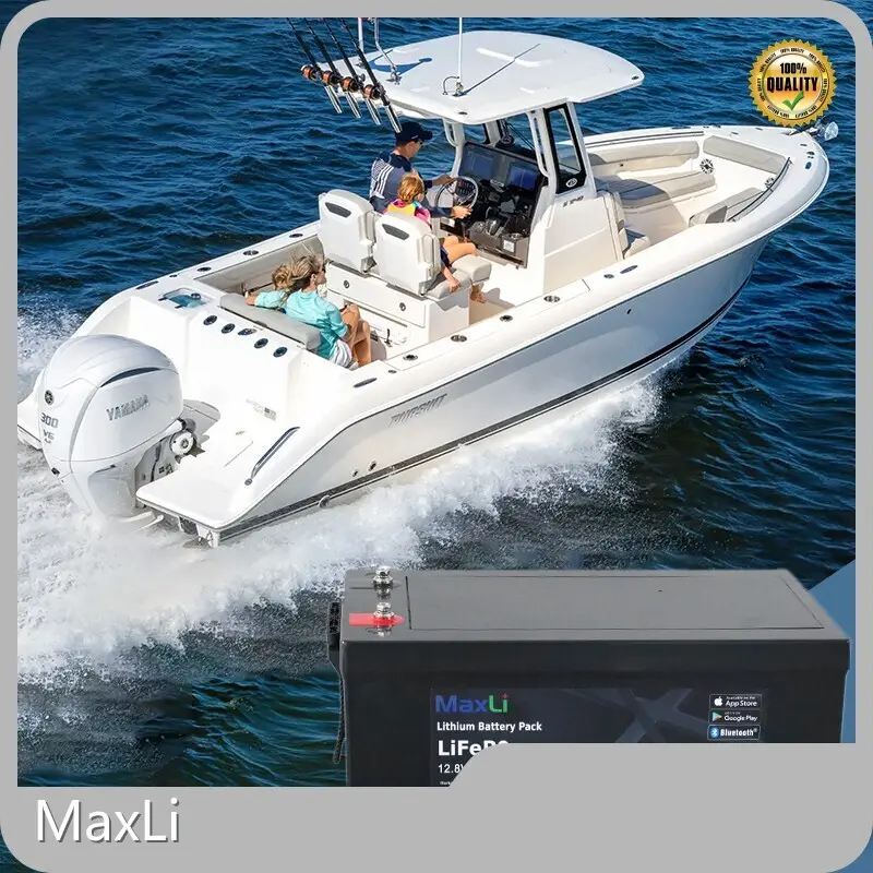 Lithium Ion Phosphate Battery Pack - - MaxLi 1