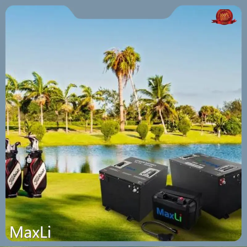 Lithium Polymer Battery Pack by MaxLi 1