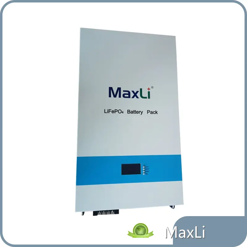 Rechargeable Li Ion Battery Pack Built-in by MaxLi 1