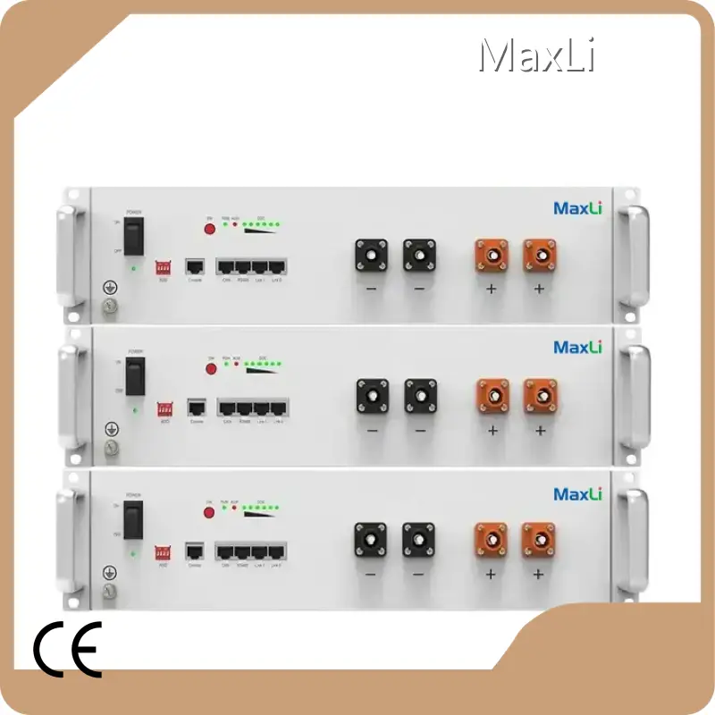 Lithium Battery Makers Built-in - - MaxLi 1
