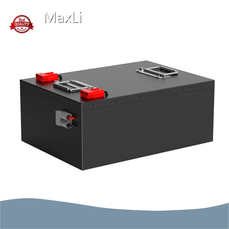 Lithium Battery Module Supplier LiFePO4 - - MaxLi 1