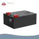 Lithium Battery Module Supplier LiFePO4 - - MaxLi 1