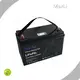 Lithium Ion Cell Pack Toys - - MaxLi 1