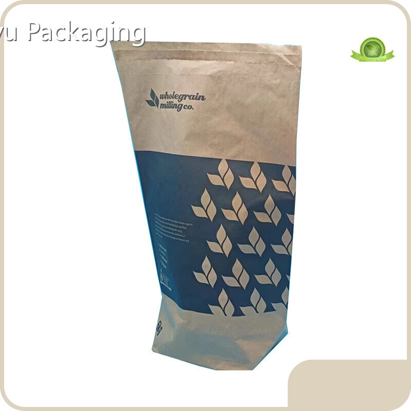 Multiwall Sacks by Tianyu Packaging-2 1