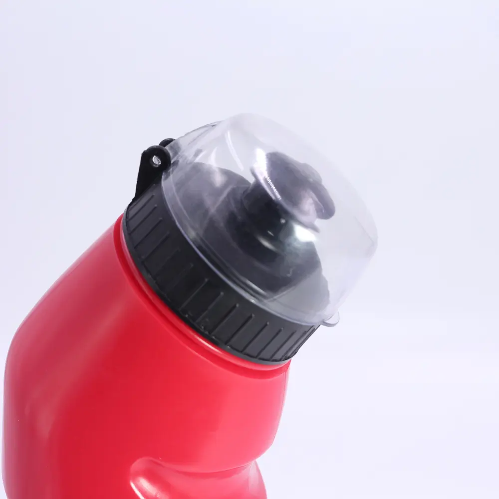 Wholesale Sports Bottles PE Accept to Customize Any Colormanufacturing 4