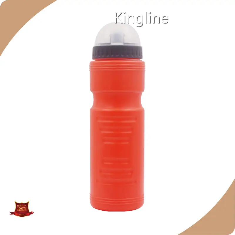 Water Bottle with Straw Accept to Customize Any Color - for Office - Kingline 1