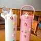 Kingline Water Bottle Accept to Customize Any Color Water Bottlemanufacturer 13