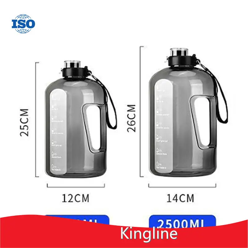 Wholesale Big Thermal Water Bottle Company for Student 1