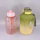 Oem & Odm Insulated Plastic Water Bottle Factory Direct Supply 8