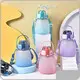 Kingline Gym Water Bottle ODM/OEM Gym Water Bottlefactory 1