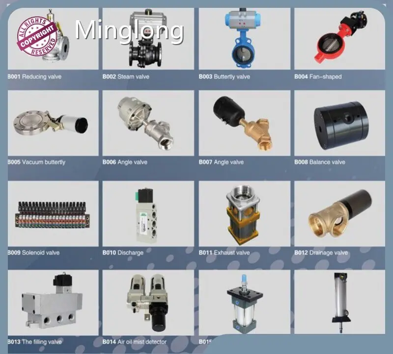 Eps Elektronik Wholesale - Minglong 1