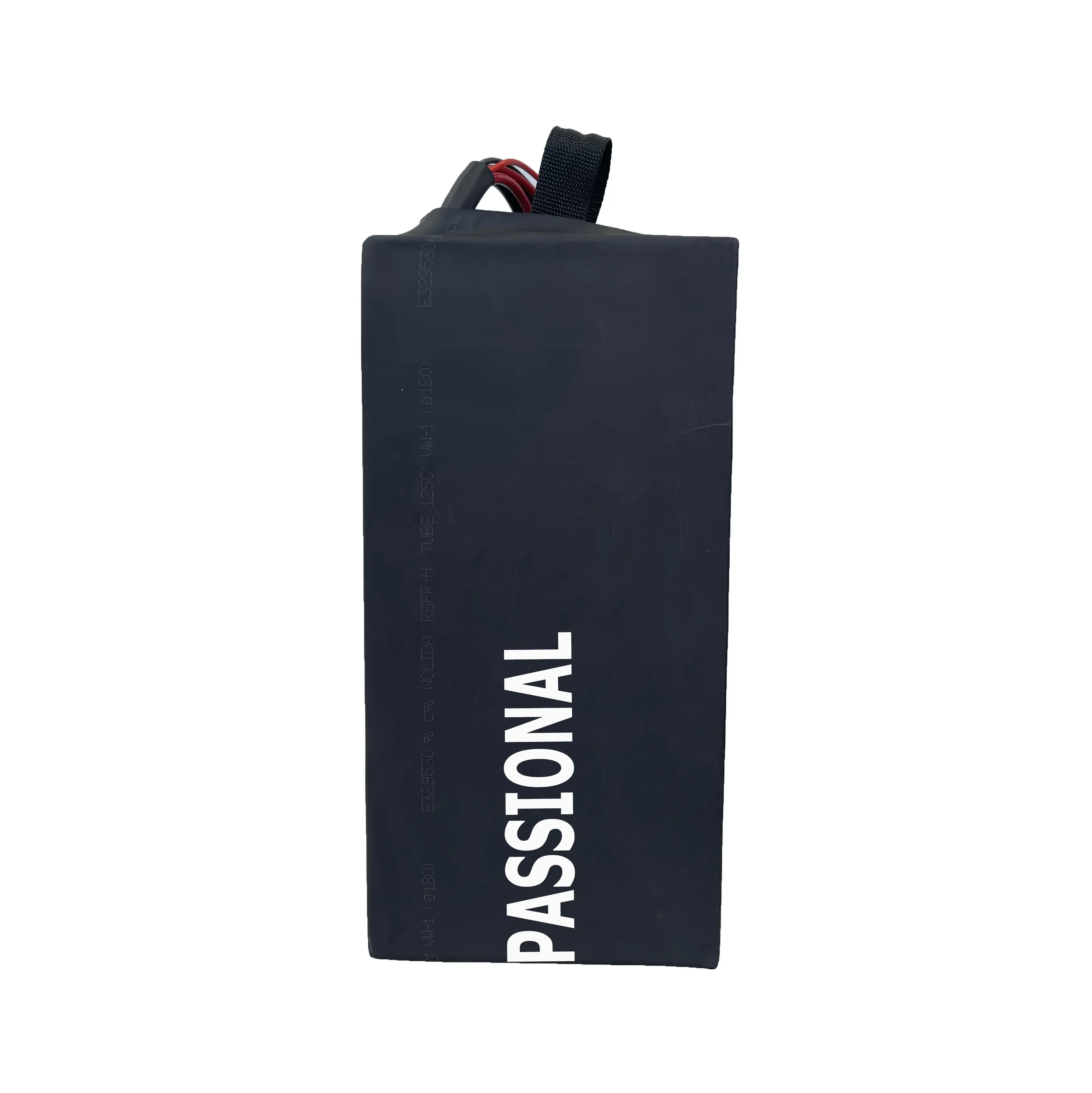 Custom Made Lithium Ion Battery Packs PASSIONAL - - PSN Energy 2