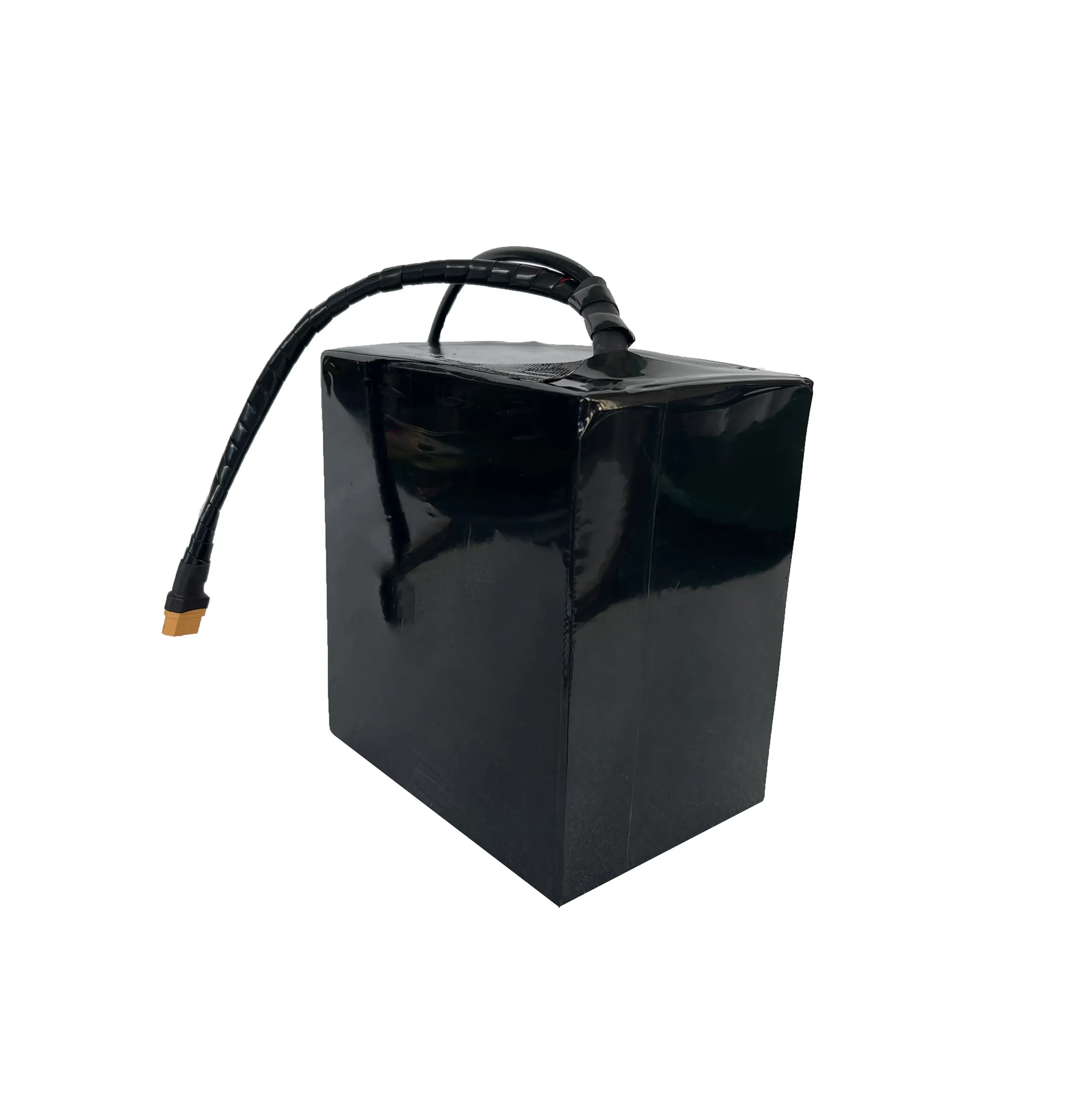 Custom Lithium Polymer Battery 300*95*70 (48v 16ah One) - - PSN Energy 5