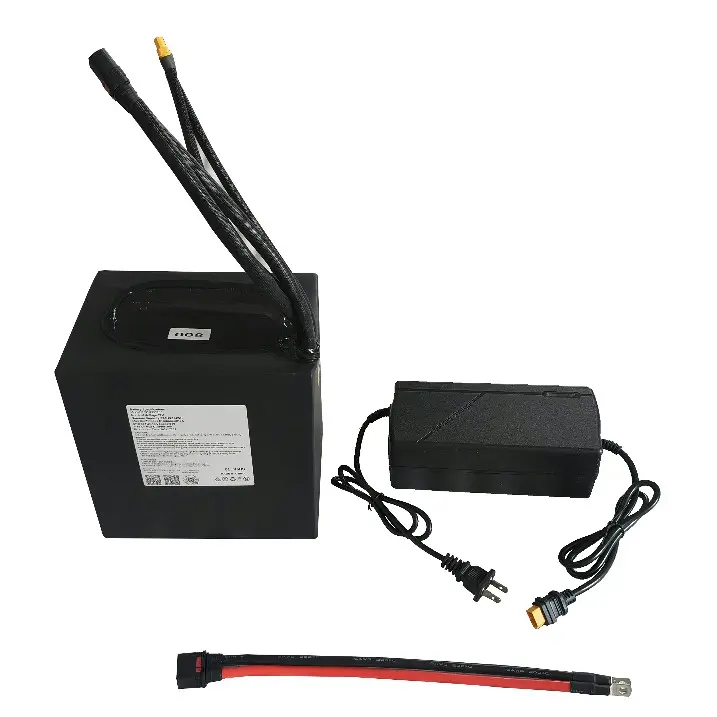 Lithium Scooter Battery Pack EXW by PSN Energy 2