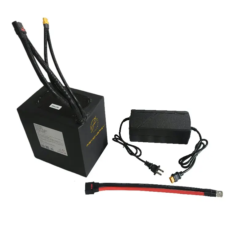Lithium Scooter Battery Pack EXW by PSN Energy 3