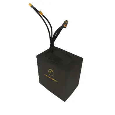 Lithium Scooter Battery Pack EXW by PSN Energy 4