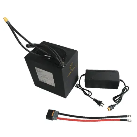 Custom Made Lithium Ion Battery Packs PSN-72336280M by PSN Energy 4