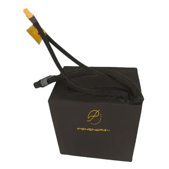 Deep Cycle Battery Pack 217*153*208MM 13KGS by PSN Energy 2