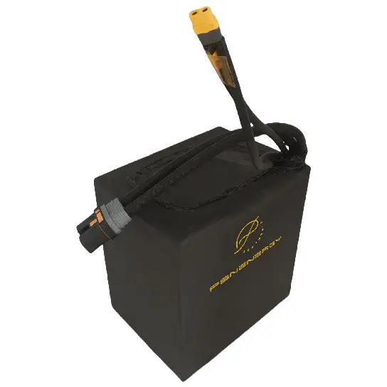 Custom Made Lithium Ion Battery Packs PSN-72336280M by PSN Energy 2