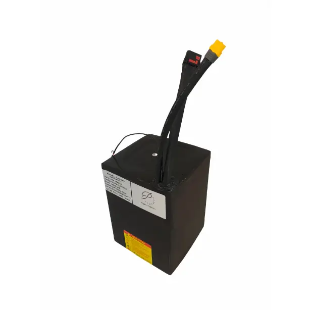 Lithium Ion Battery Pack for Car 1 Battery +1 Charger+ Two Cable with QS8 Connector - - PSN Energy 2