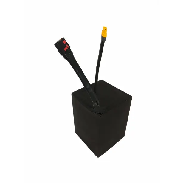 Lithium Ion Battery Pack for Car 1 Battery +1 Charger+ Two Cable with QS8 Connector - - PSN Energy 4