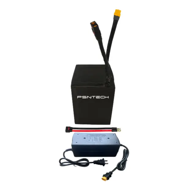 Lithium Ion Battery Pack for Car 1 Battery +1 Charger+ Two Cable with QS8 Connector - - PSN Energy 5