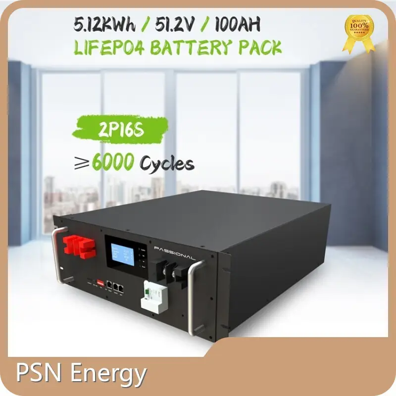 Custom Lithium Ion Battery - - PSN Energy 1