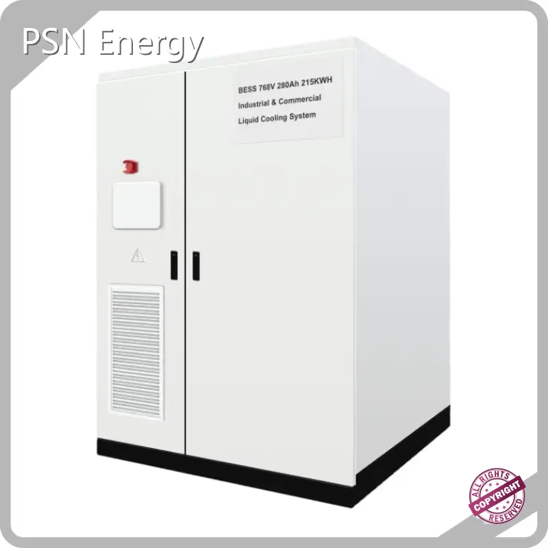 Lithium Ion Battery Tester by PSN Energy-2 1