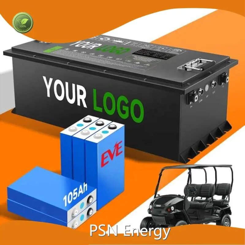 Electric Car Battery Pack - - PSN Energy 1