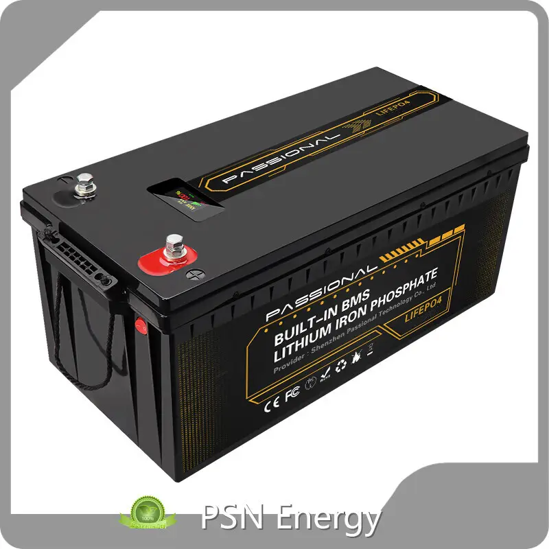 Custom Lithium Battery Packs PASSIONAL by PSN Energy 1