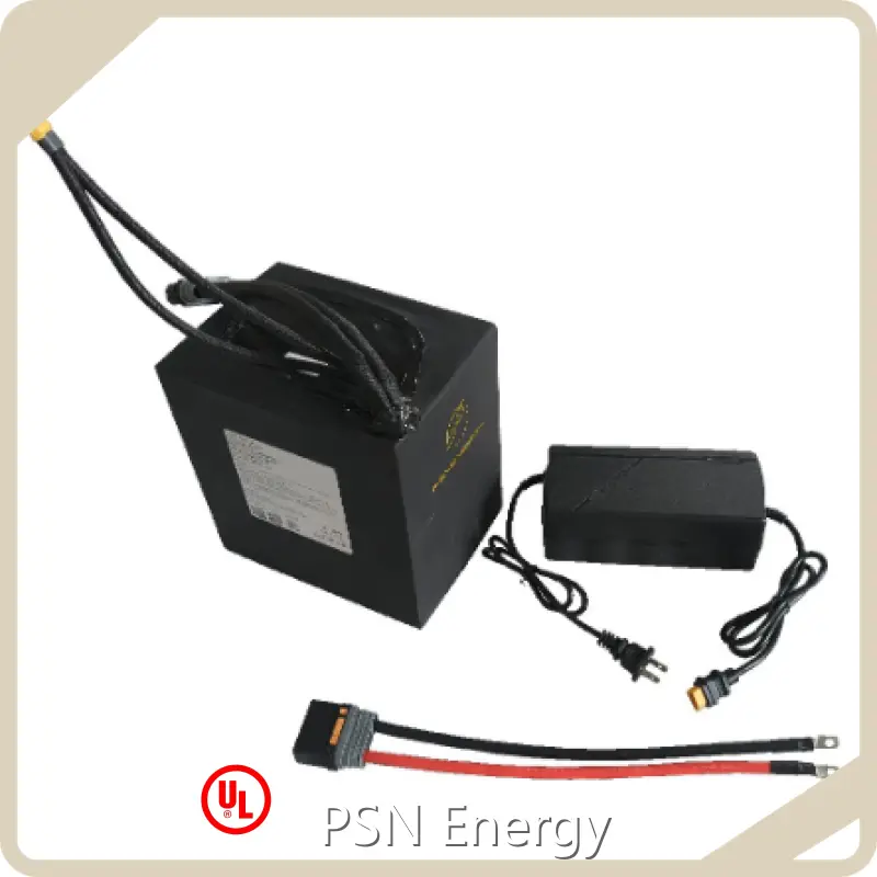 Rechargeable Lithium Ion Battery Pack PSN-72336280M by PSN Energy 1