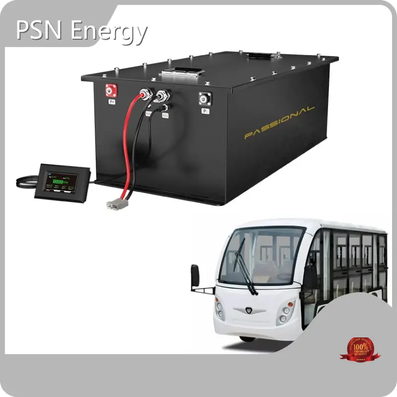 Lithium Ion Battery Tester by PSN Energy-4 1