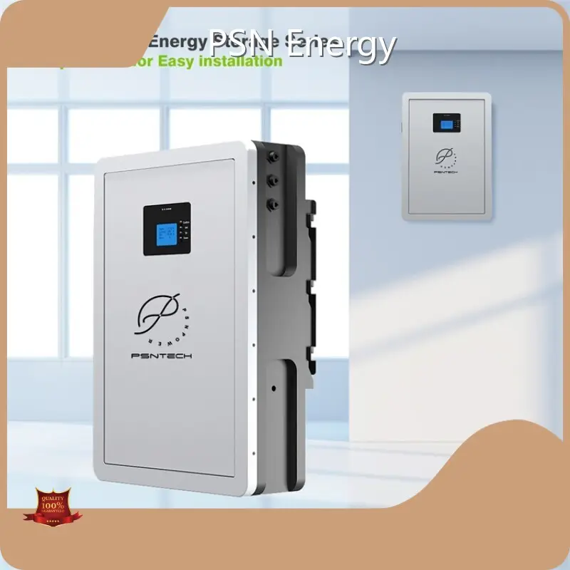 Custom Lithium Ion Battery - - PSN Energy-4 1
