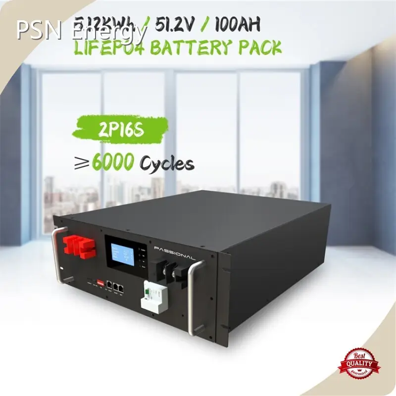 Custom Lithium Ion Battery - - PSN Energy-5 1
